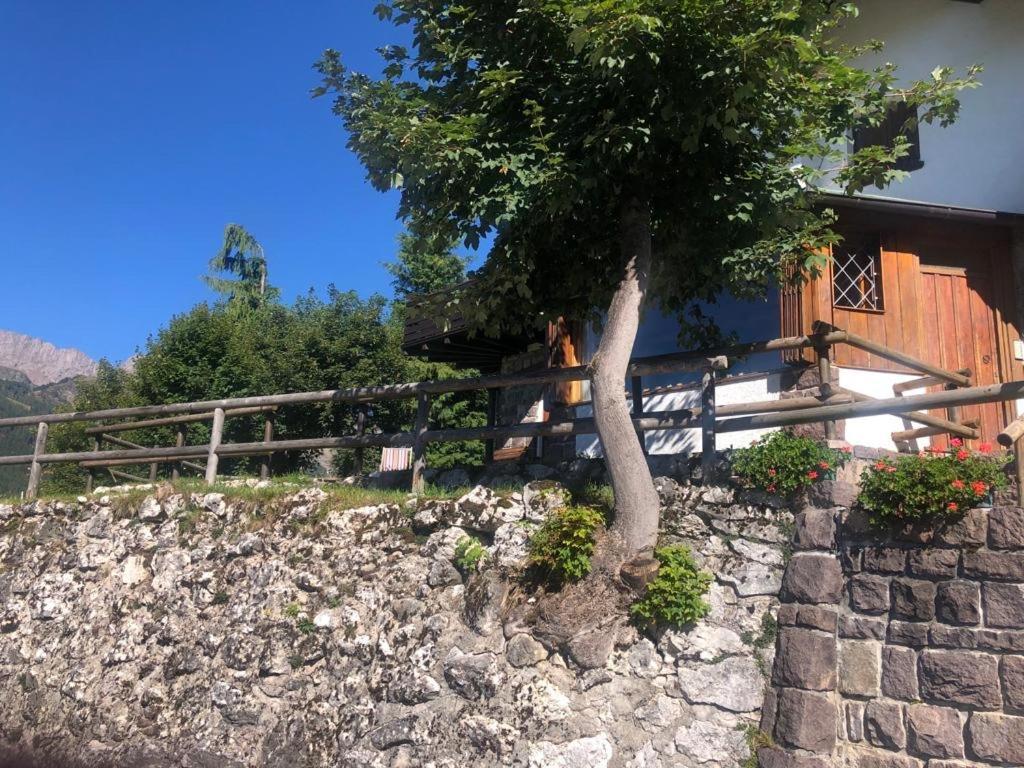 Casa Loria - Appartamento con Giardino San Martino Di Castrozza Esterno foto
